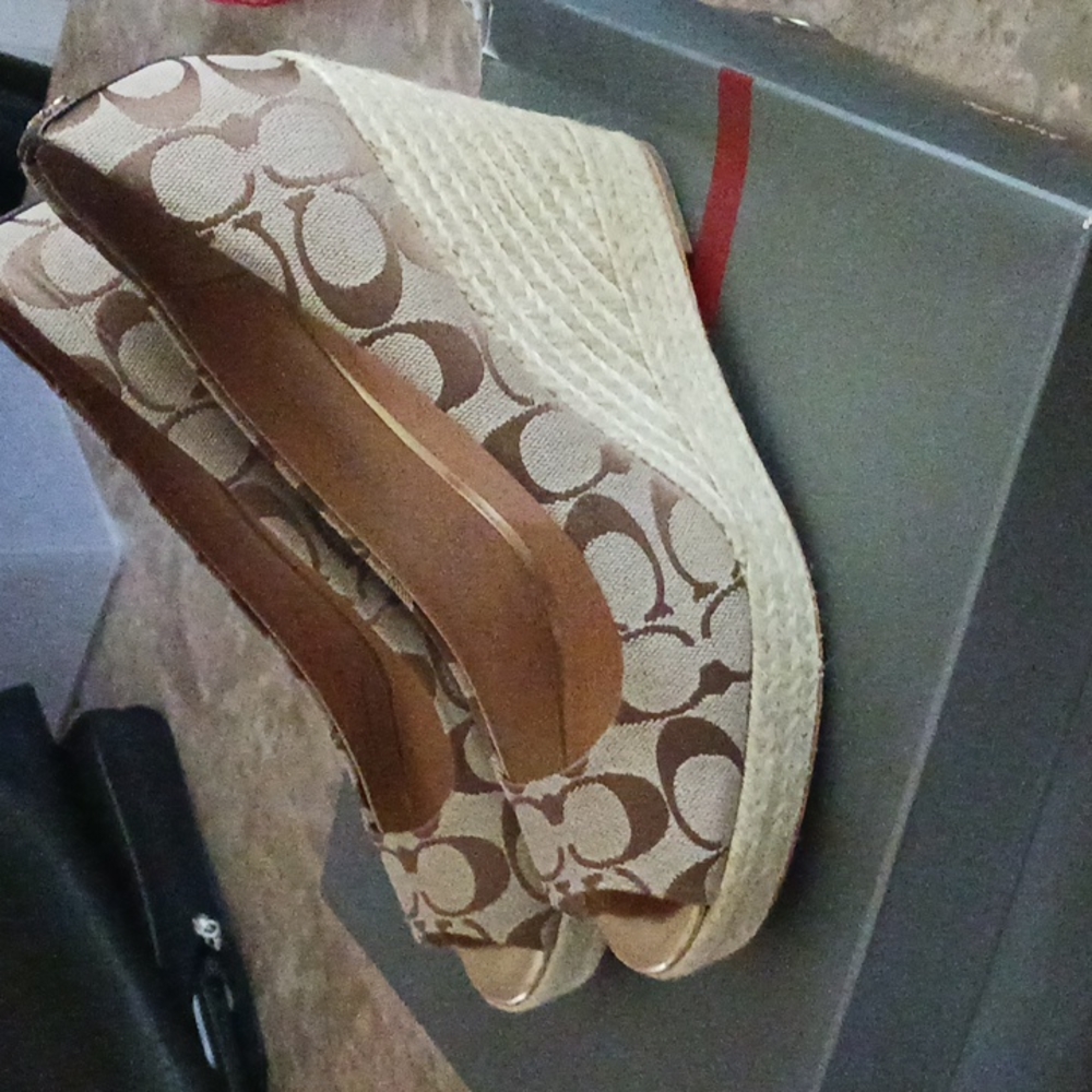 Shoe's